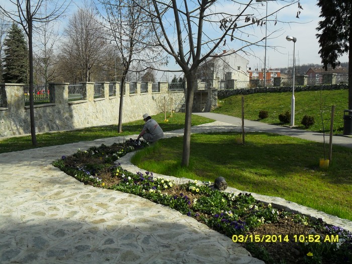 SlikeGodina2014_Zelenilo03-2014_Zelenilo03-2014-005