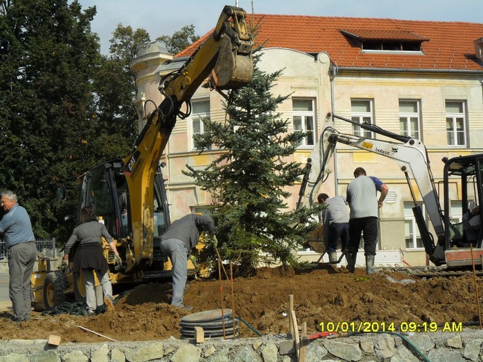SlikeGodina2014_Jelka09-2014_jelka09-2014-003