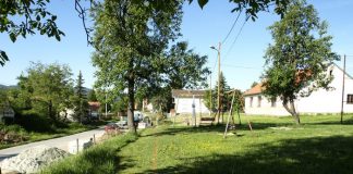 pistana05 201500007