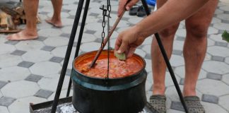 Chobanijada2015 061