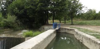 mlinski08 201500007