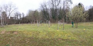 2016 02 25 Kesten Dud001