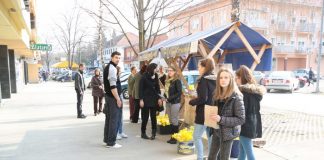 DanNarcisa2016 004