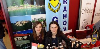 VrsacVinofest2016 012