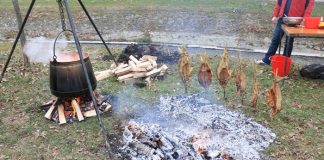Badnjak2016 004