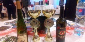 Vrsac 2017 054