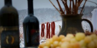 2019 01 22 PP Orahovica Vinkovo003