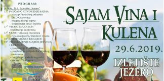 SVIK 2019 Plakat