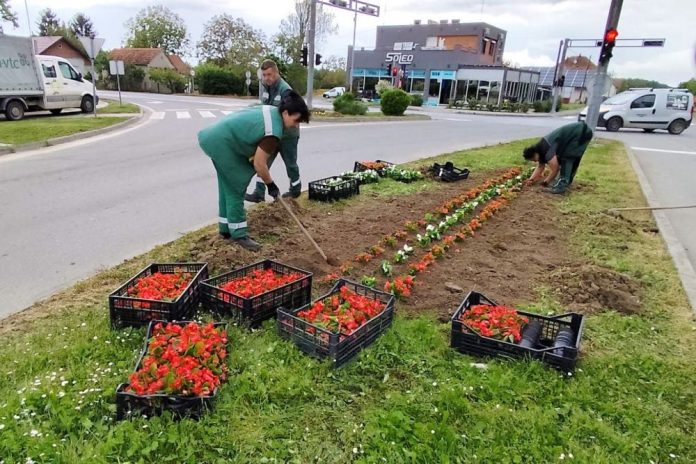Hortikulturno-uredenje-grada-6