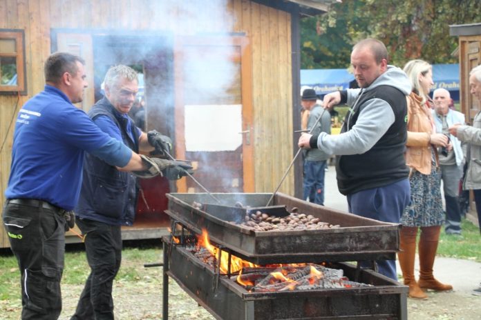 Kestenijada-Orahovica-4-Custom